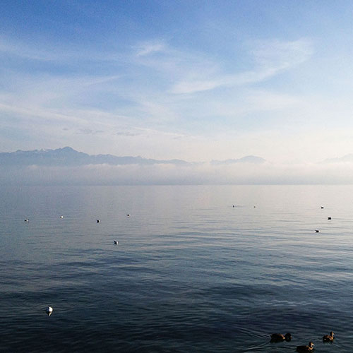 CFRH - Ressources Humaines - Marie-Noëlle Favarger Schmidt