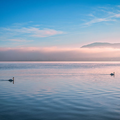 CFRH - Santé en entreprise - Marie-Noëlle Favarger Schmidt